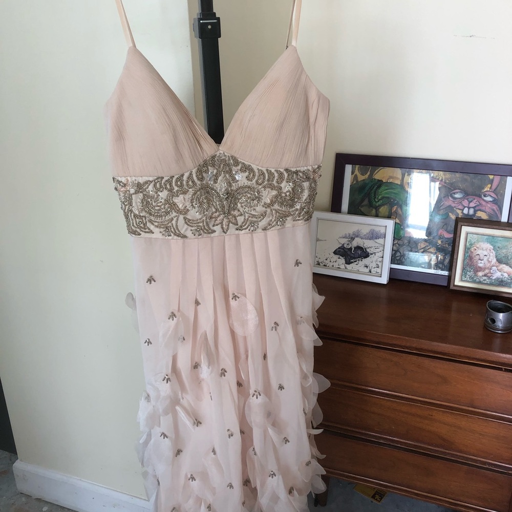 Adorable Sue Wong Dress 🌼